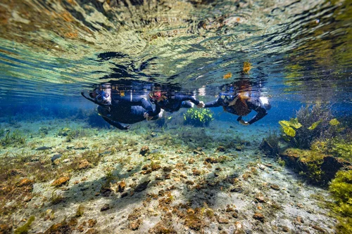 Snorkeling at Nascentes Azul in Bonito,  MS