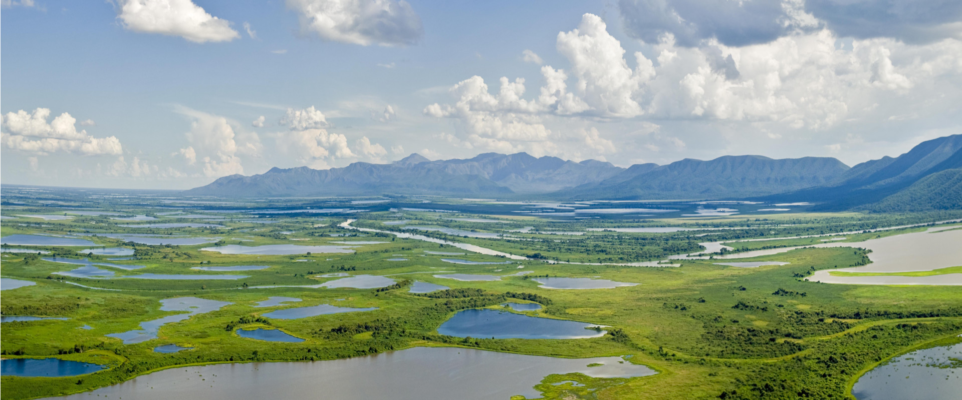 The Brazilian Pantanal